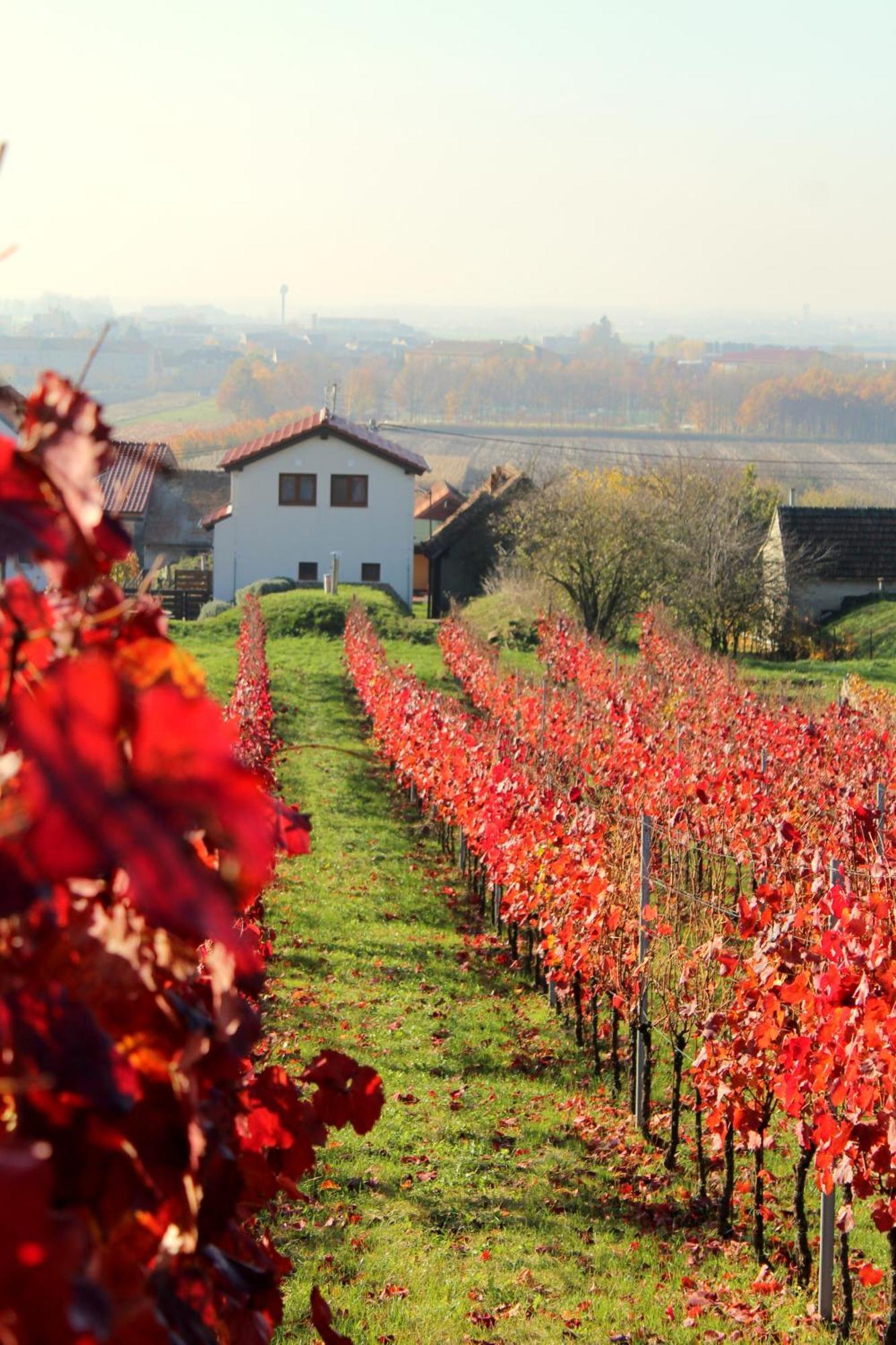Valentovi Holiday home
